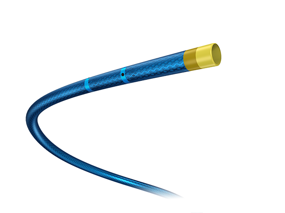 APT Medical guide extension catheter: Expressman™ Guiding Extension Catheter