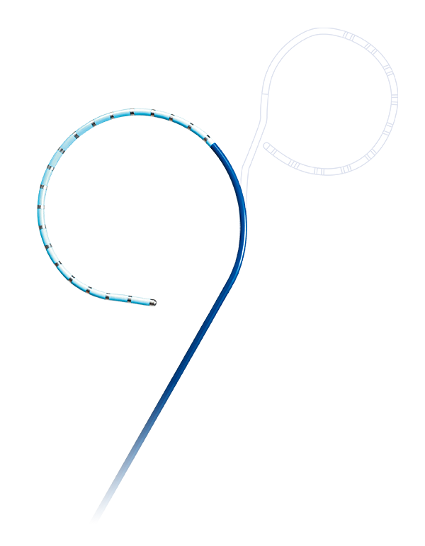 Triguy™ Steerable Duo-decapolar Mapping Catheter