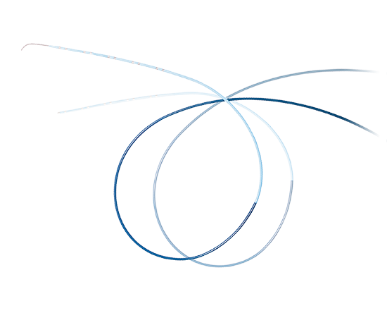 Triguy™ 4-3.3F Fixed Curve Mapping Catheter