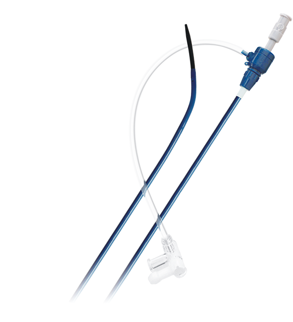 Braidin™ L Guiding Sheath