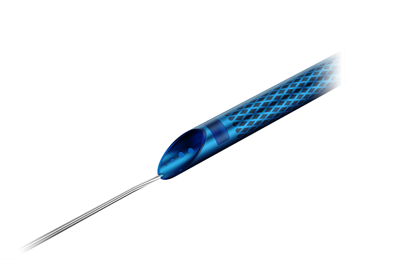 Expressman™ Guiding Extension Catheter